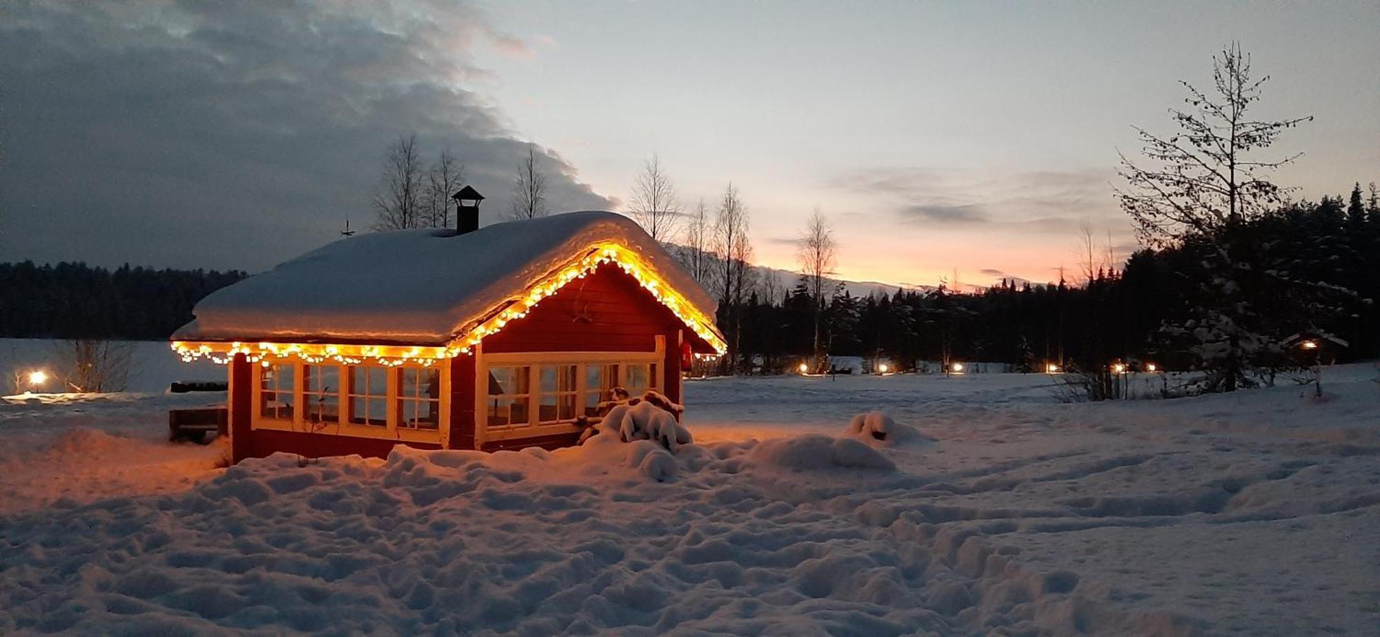 Log Holiday home *