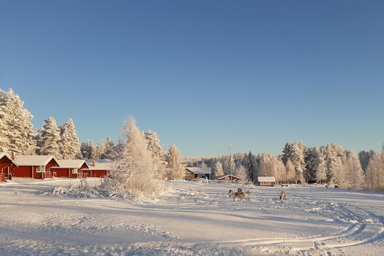 Loma-asunnot Log Korvala