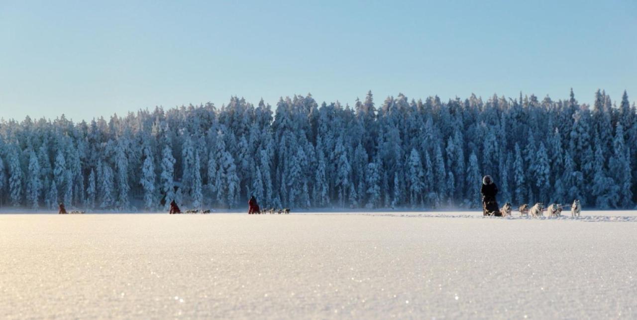 Loma-asunnot Log Korvala